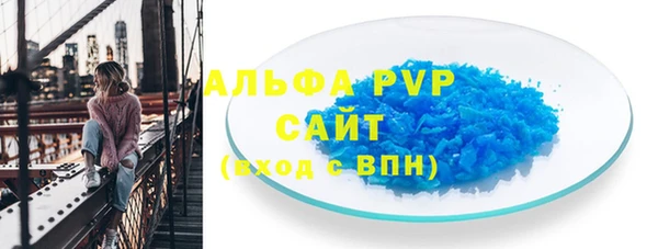 PSILOCYBIN Верея