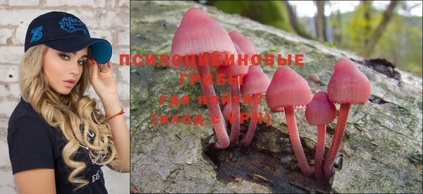 PSILOCYBIN Верея