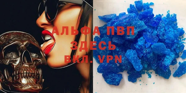 PSILOCYBIN Верея
