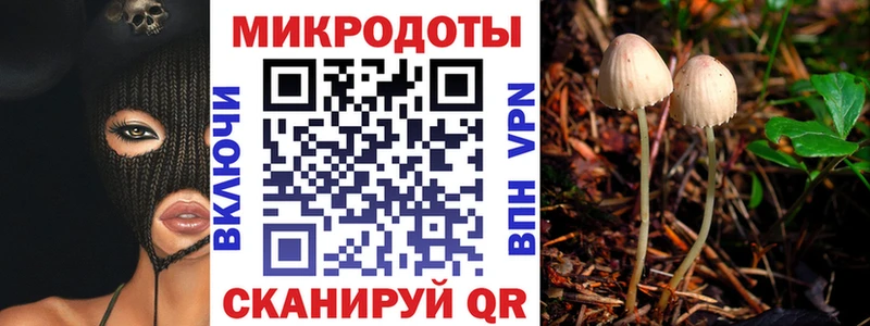 Псилоцибиновые грибы мицелий Сосногорск